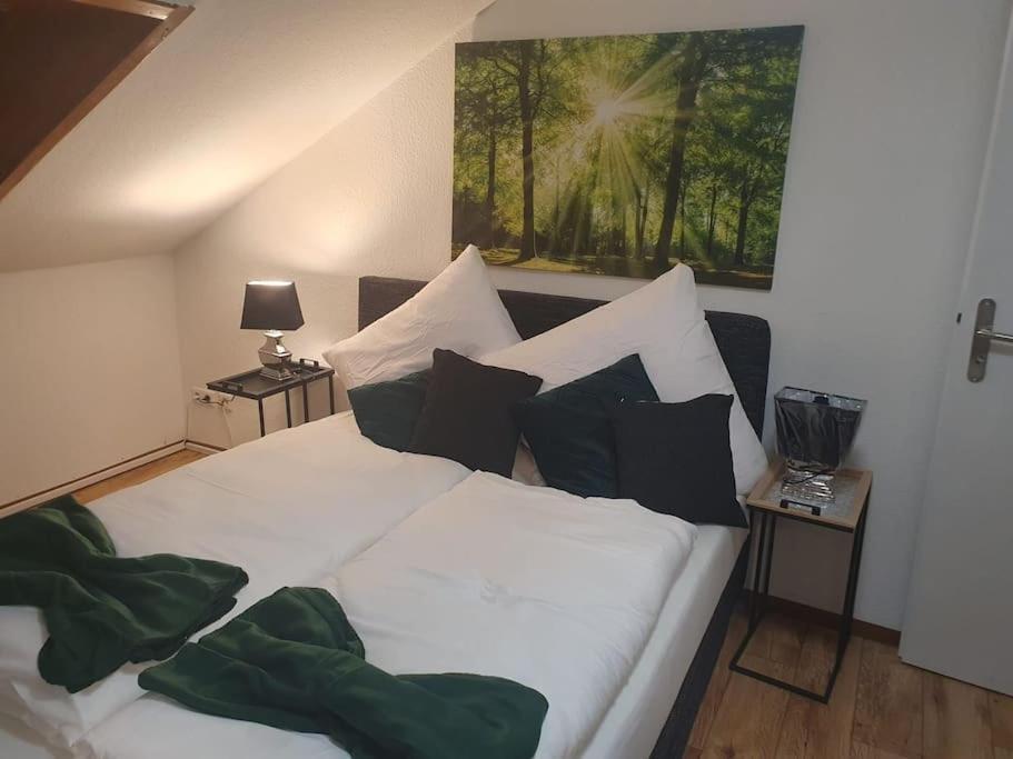 Waterfalls Apartment Triberg im Schwarzwald Exterior photo